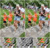 Evenement foto: Serie 1947