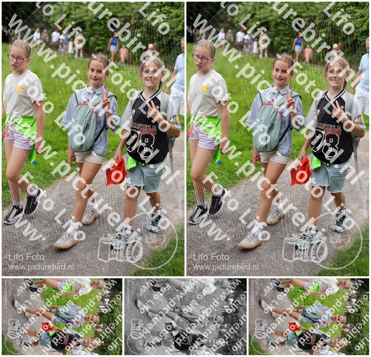 Evenement foto: Serie 1947