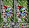 Evenement foto: Serie 1949