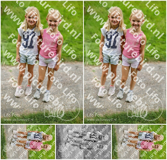 Evenement foto: Serie 1949