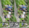 Evenement foto: Serie 1950