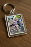 Evenement foto: Serie 1950