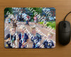 Evenement foto: Serie 1950