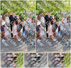 Evenement foto: Serie 1950