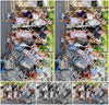 Evenement foto: Serie 1950