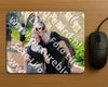 Evenement foto: Serie 1951