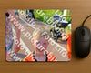 Evenement foto: Serie 1951