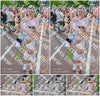 Evenement foto: Serie 1951