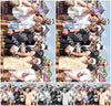 Evenement foto: Serie 334