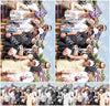 Evenement foto: Serie 334