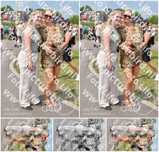 Evenement foto: Serie 335