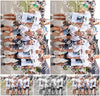 Evenement foto: Serie 336