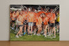 Evenement foto: Serie 2206