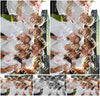 Evenement foto: Serie 2206
