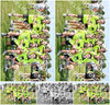 Evenement foto: Serie 2206