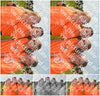 Evenement foto: Serie 2206