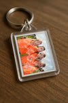 Evenement foto: Serie 2206