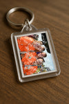 Evenement foto: Serie 2206