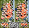 Evenement foto: Serie 2206