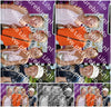Evenement foto: Serie 2207