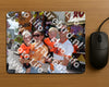 Evenement foto: Serie 2207