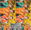 Evenement foto: Serie 2207