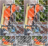 Evenement foto: Serie 2207