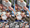 Evenement foto: Serie 2208