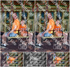 Evenement foto: Serie 2208