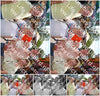 Evenement foto: Serie 2209