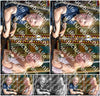 Evenement foto: Serie 2209
