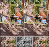 Evenement foto: Serie 2209