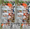 Evenement foto: Serie 2210