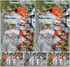 Evenement foto: Serie 2210