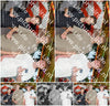 Evenement foto: Serie 2210