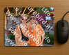 Evenement foto: Serie 2210