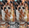 Evenement foto: Serie 2211