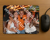 Evenement foto: Serie 2211