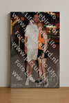 Evenement foto: Serie 2211
