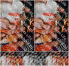Evenement foto: Serie 2211