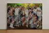 Evenement foto: Serie 2212