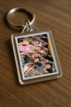 Evenement foto: Serie 2212