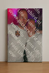 Evenement foto: Serie 2213