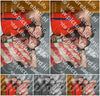 Evenement foto: Serie 2213