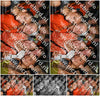 Evenement foto: Serie 2213