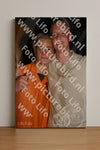 Evenement foto: Serie 2214