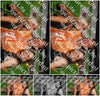 Evenement foto: Serie 2214
