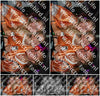 Evenement foto: Serie 2215