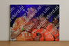Evenement foto: Serie 2215