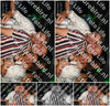 Evenement foto: Serie 2215